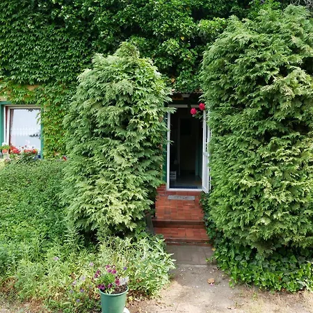 Lägenhet Ferienwohnung Auf Dem Land Mellenthin